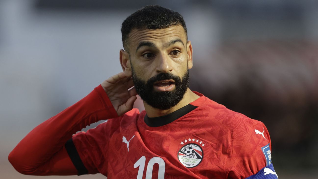 FIFA要求埃及世界杯球衣去掉7颗星 标识规则再引关注